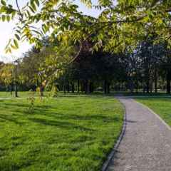 � ���������� �������� ���������� ��������� � ����� ���������